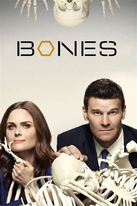 bones episode 4 season 4|bones rotten tomatoes episode 4.